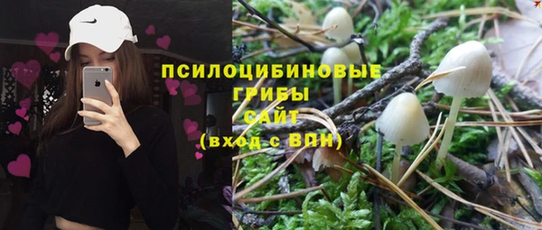 амф Абинск